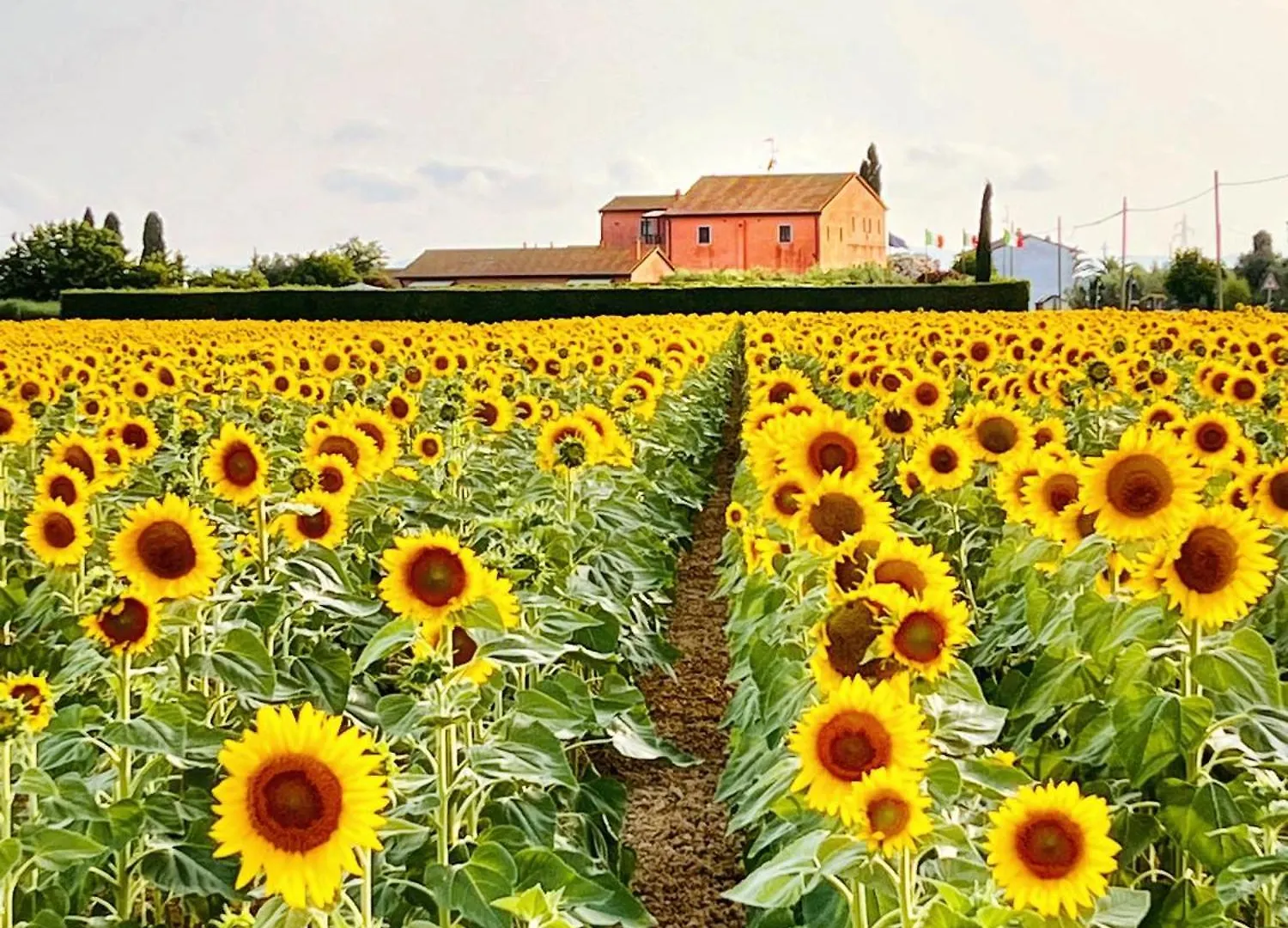 Podere Casalpiano Appartamento 11 Casa Banditelle Italia